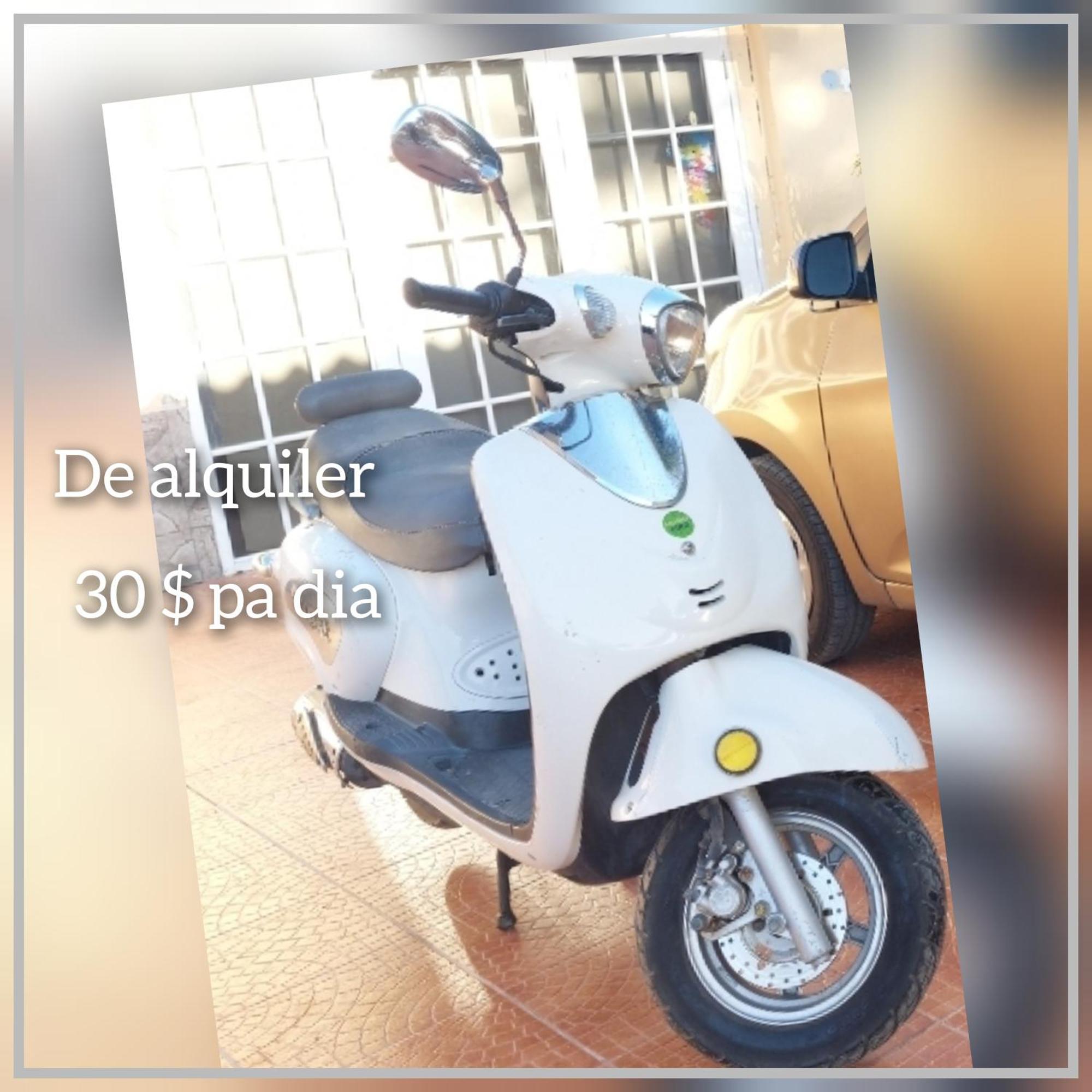 Mi Hogar Διαμέρισμα Julianadorp Εξωτερικό φωτογραφία